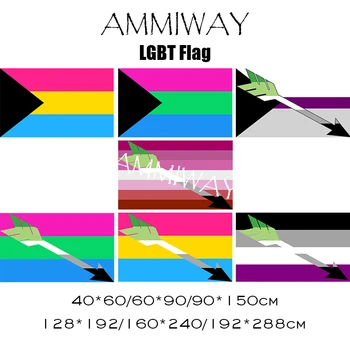 AMMEWAY Демисексуал Пансексуал Пан Полисексуальность Ароматический Демисексуал Лесбиянка Асексуал Комбинация Стрелок Радужные Флаги ЛГБТ Гей Прайда