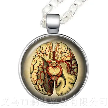 Анатомия Человека Мозг Ожерелье Стеклянный Кабошон Странная Крутая Наука Персонализированный Доктор Кулон Орган Творческий Подарок