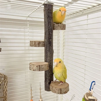 Настольная подставка для дрессировки птиц, деревянный насест для попугая с вращающейся платформой для качелей
