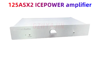 Новые аксессуары для усилителя ICEPOWER 125ASX2 цифровой модуль усилителя профессионального класса fever HIFI выходная мощность усилителя: 125 Вт