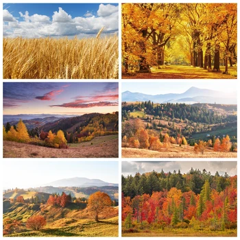 Осенний лес, Природа, Пейзаж, Фон для фотосъемки, Солнечный свет, Осенние Кленовые листья, Дерево, Ферма, Детский портрет, Фото-фон для студии